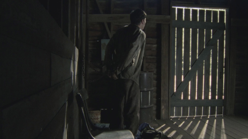 the walking dead